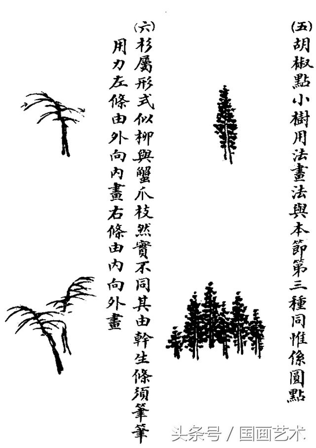 水草简笔画怎么画，水草简笔画简单（国画入门之树干、树枝、树叶、竹芦水草画法详解）