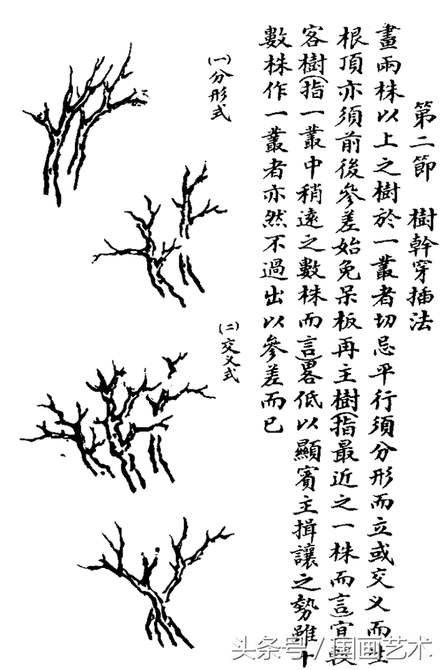 水草简笔画怎么画，水草简笔画简单（国画入门之树干、树枝、树叶、竹芦水草画法详解）