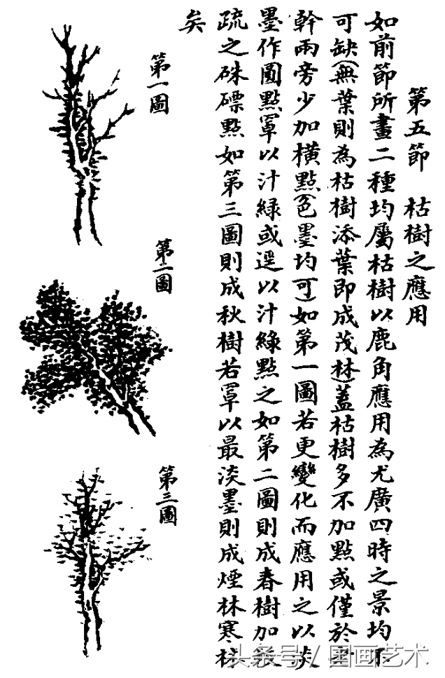 水草简笔画怎么画，水草简笔画简单（国画入门之树干、树枝、树叶、竹芦水草画法详解）