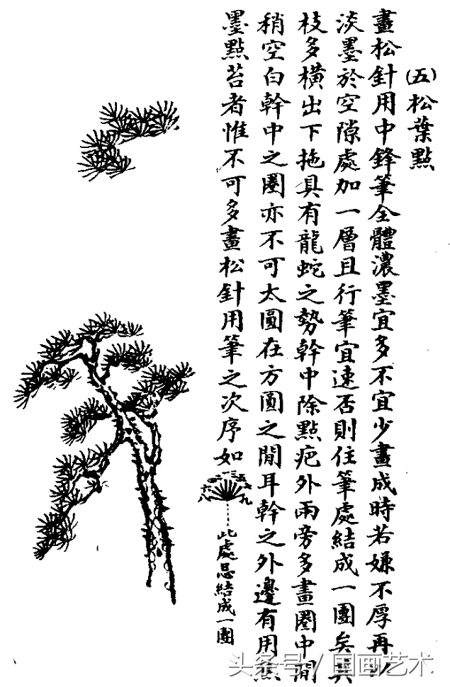 水草简笔画怎么画，水草简笔画简单（国画入门之树干、树枝、树叶、竹芦水草画法详解）