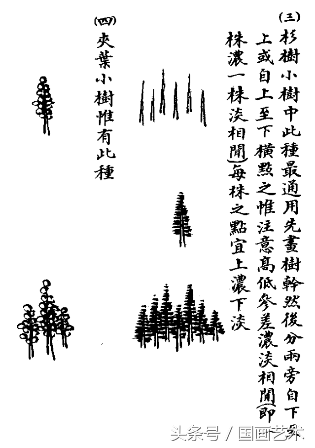 水草简笔画怎么画，水草简笔画简单（国画入门之树干、树枝、树叶、竹芦水草画法详解）