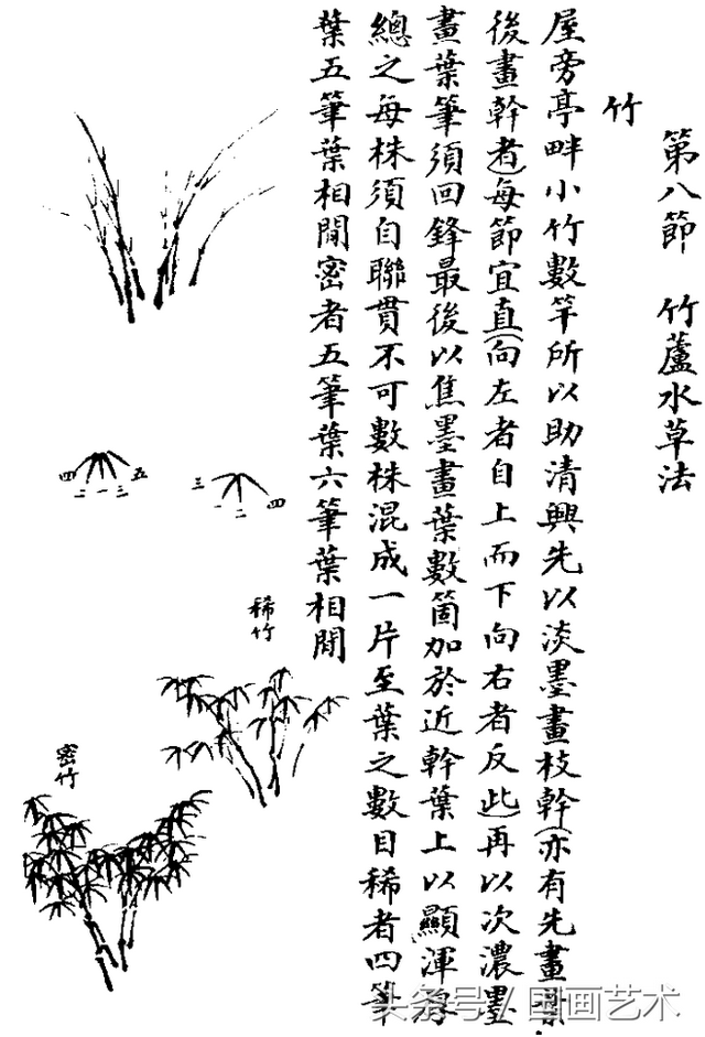 水草简笔画怎么画，水草简笔画简单（国画入门之树干、树枝、树叶、竹芦水草画法详解）