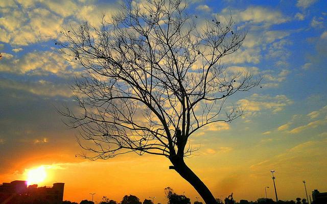 现代散文诗歌，现代散文诗歌大全简短（中国最美的八首现代诗）