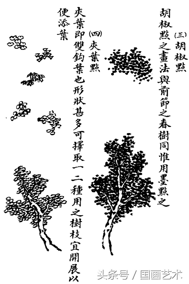 水草简笔画怎么画，水草简笔画简单（国画入门之树干、树枝、树叶、竹芦水草画法详解）