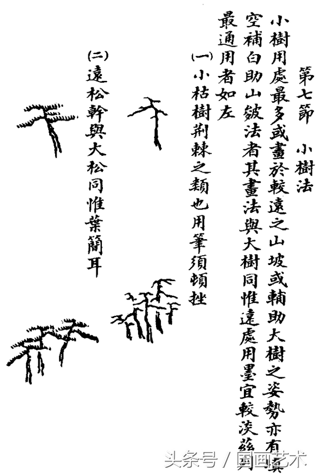 水草简笔画怎么画，水草简笔画简单（国画入门之树干、树枝、树叶、竹芦水草画法详解）