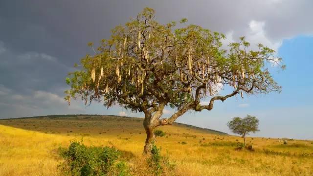 现代散文诗歌，现代散文诗歌大全简短（中国最美的八首现代诗）