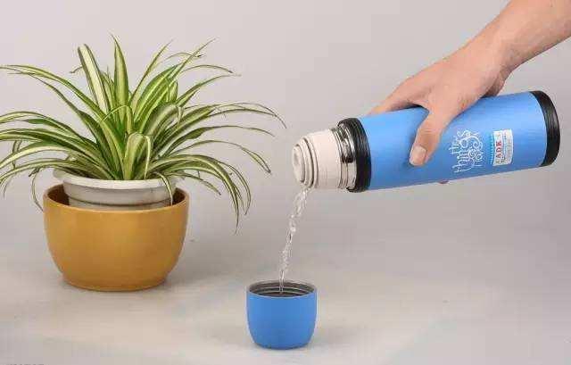 茶垢怎么清洗 保温杯，保温杯陈年茶垢怎么清洗干净（这些东西，就可以清洗茶垢）