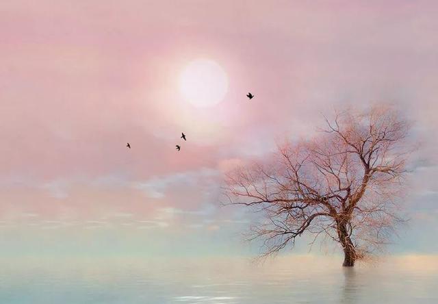 现代散文诗歌，现代散文诗歌大全简短（中国最美的八首现代诗）