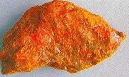 是天然矿石吗，鉲原石鉴定机构（世界上最为致命的10种天然矿石）