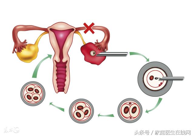 排卵期体温变化图，女性基础体温曲线图解读（排卵期身体会出现这5个变化）