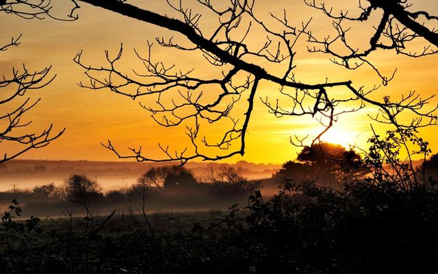 现代散文诗歌，现代散文诗歌大全简短（中国最美的八首现代诗）