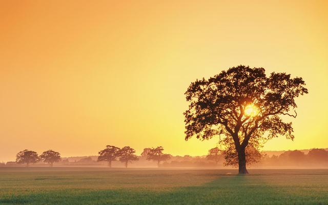 现代散文诗歌，现代散文诗歌大全简短（中国最美的八首现代诗）