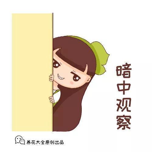 摘菜洗菜方法，每个家庭都能用到的做饭小妙招