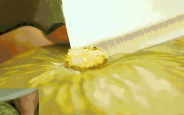 摘菜洗菜方法，每个家庭都能用到的做饭小妙招