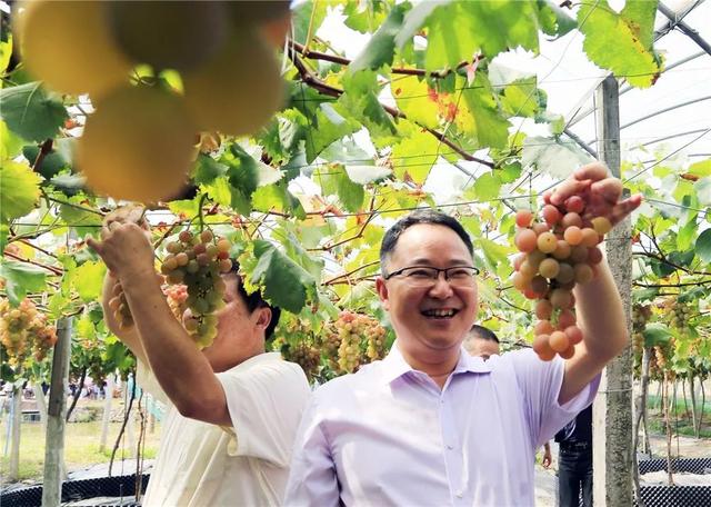 浙江省金华十大特产有哪些，金华特产小吃（最能代表你家乡的“土货”是啥）