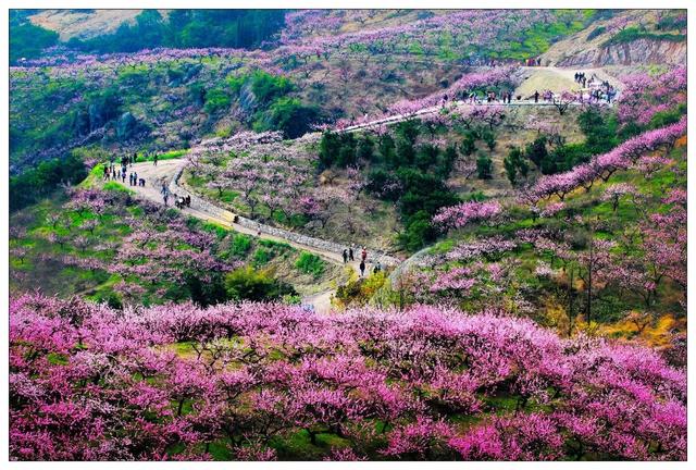 浙江省金华十大特产有哪些，金华特产小吃（最能代表你家乡的“土货”是啥）