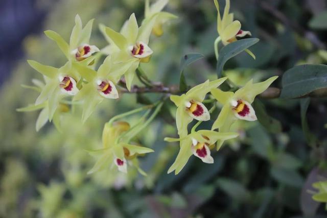 浙江省金华十大特产有哪些，金华特产小吃（最能代表你家乡的“土货”是啥）