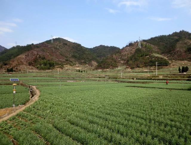 浙江省金华十大特产有哪些，金华特产小吃（最能代表你家乡的“土货”是啥）