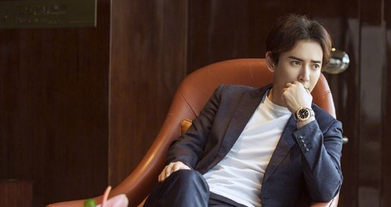 山河恋所有演员表，山河恋演员表（严世蕃扮演者韩栋个人资料介绍）