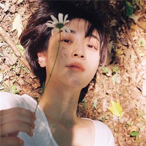 发快手图片专用图片，适合发快手的图片微信（快手吸引人头像图片480×480）