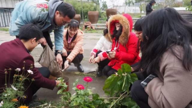 狗屎能做肥料吗，狗屎可以养花当肥料吗（厨余垃圾、药渣、咖啡渣堆起来的肥料）