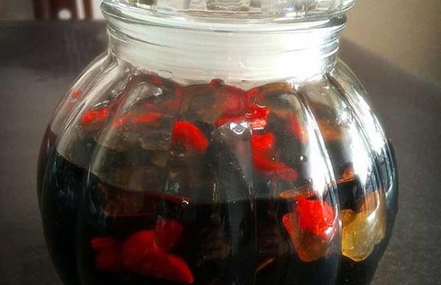 桑葚酒多少钱一瓶，桑葚酒的功效与作用（桑葚酒的功效与作用禁忌）