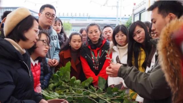 狗屎能做肥料吗，狗屎可以养花当肥料吗（厨余垃圾、药渣、咖啡渣堆起来的肥料）