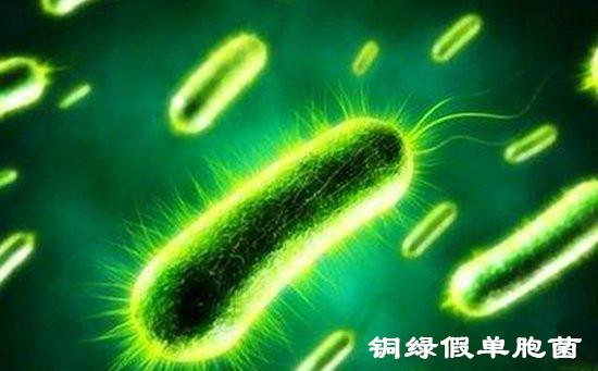 如何去铜绿，如何去铜绿 生活小窍门（怎样杀灭铜绿假单胞菌）