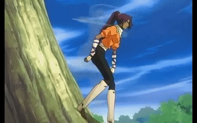 求死神中夜一碎蜂一起出场的集数，死神夜一什么时候变人（《死神》回忆录第六期）