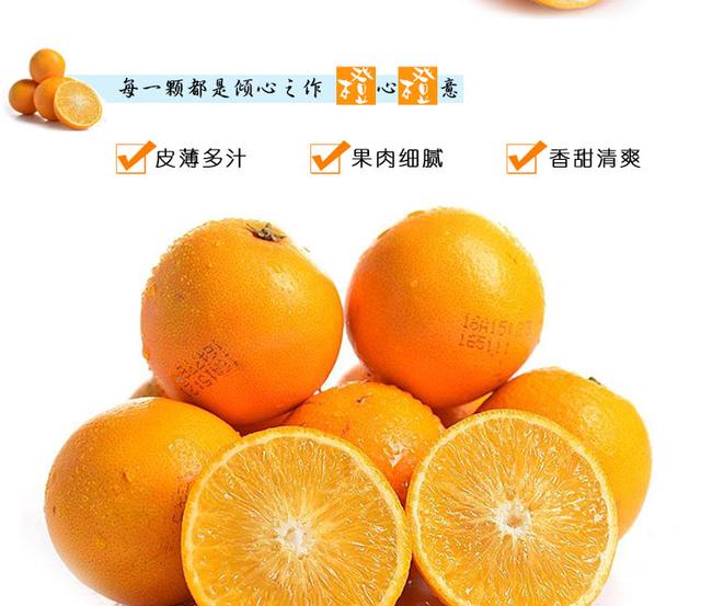有志不在年高的下一句，有志不在年高的下一句是什么（褚时健爷爷告诉我一个人生哲理）