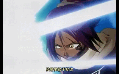 求死神中夜一碎蜂一起出场的集数，死神夜一什么时候变人（《死神》回忆录第六期）