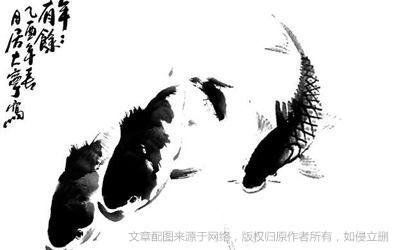 橙子的英文怎么说，橙子的英文怎么说橘子和橙子的英文怎么说（橘子、橙子、柑子、柚子的英文都是orange吗）