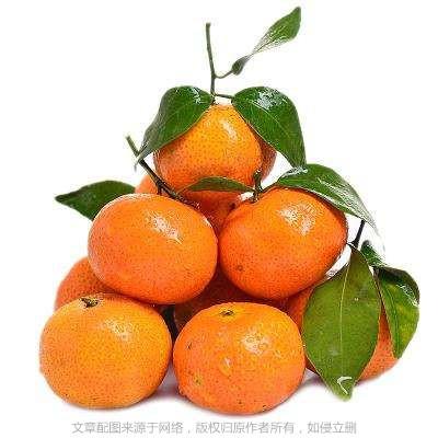 橙子的英文怎么说，橙子的英文怎么说橘子和橙子的英文怎么说（橘子、橙子、柑子、柚子的英文都是orange吗）