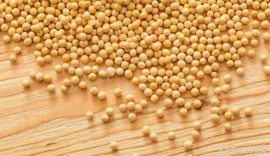 火麻茶的作用与功效，火麻茶的作用与功效禁忌（《祝你平安》冬季如何保护心血管）