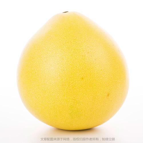 橙子的英文怎么说，橙子的英文怎么说橘子和橙子的英文怎么说（橘子、橙子、柑子、柚子的英文都是orange吗）