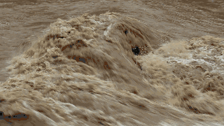 许氏独特好听的女孩名字，好听有诗意的许姓女孩名字合集（《中国百家姓》之许氏由来）