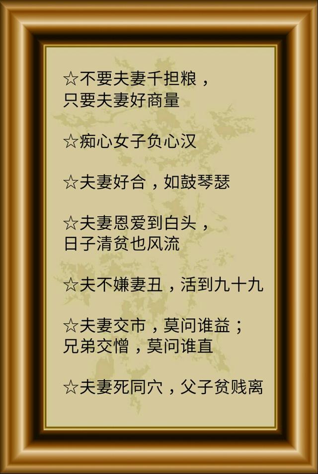 母鸡是什么意思，女生说母鸡是什么意思（家必败”是这个意思）