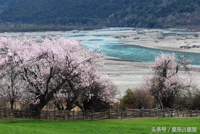 梦见桃花仙子，梦见桃花仙子和我说话（这些梦预示桃花运来临）