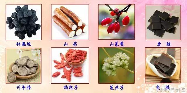 龟板胶的功效与作用,龟板胶副作用有哪些(它俩都是补肾名方) 龟板胶的功效与作用,龟板胶副作用有哪些(它俩都是补肾名方)