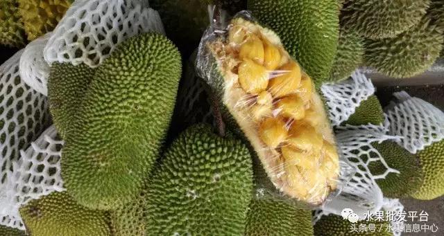 菠萝蜜是不是榴莲，榴莲和菠萝蜜一样吗（榴莲蜜和榴莲和菠萝蜜和菠萝究竟有什么关系）