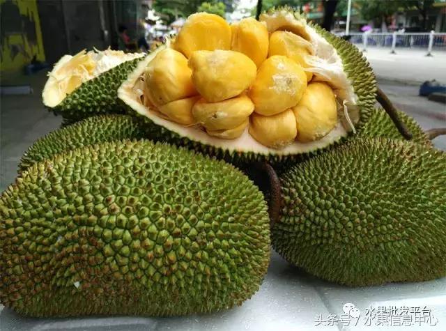 菠萝蜜是不是榴莲，榴莲和菠萝蜜一样吗（榴莲蜜和榴莲和菠萝蜜和菠萝究竟有什么关系）