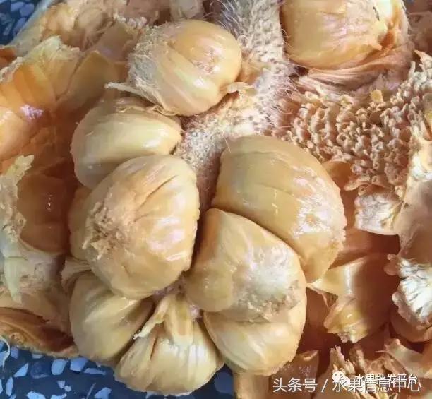 菠萝蜜是不是榴莲，榴莲和菠萝蜜一样吗（榴莲蜜和榴莲和菠萝蜜和菠萝究竟有什么关系）