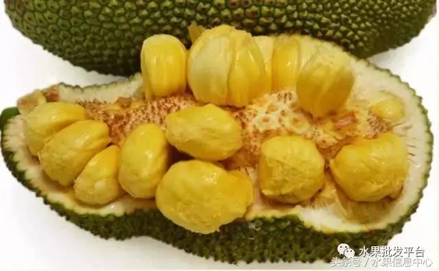 菠萝蜜是不是榴莲，榴莲和菠萝蜜一样吗（榴莲蜜和榴莲和菠萝蜜和菠萝究竟有什么关系）