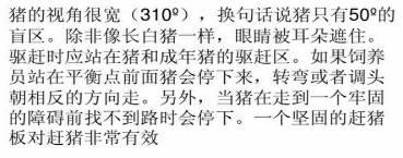 赶猪的最佳方法，赶猪的最佳方法图片（最最最全的赶猪“教程”）