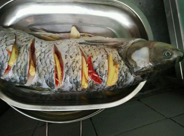 炖蒸鱼的清炖鱼法，炖鱼清炖鱼的做法（30年海鲜大厨经验之谈）