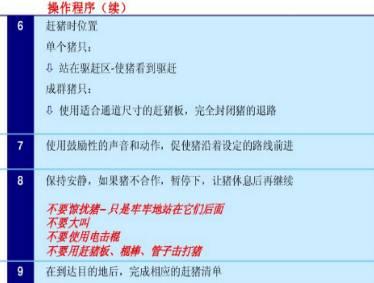 赶猪的最佳方法，赶猪的最佳方法图片（最最最全的赶猪“教程”）
