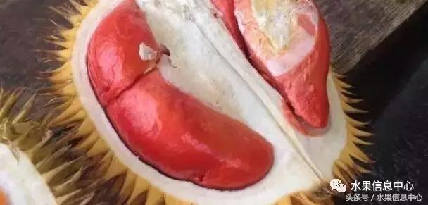 榴莲的种类，怎样选榴莲才能选到好榴莲（史上最全榴莲品种产地分类大全）