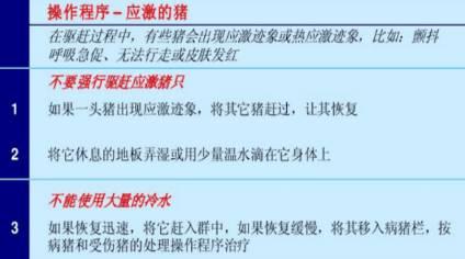 赶猪的最佳方法，赶猪的最佳方法图片（最最最全的赶猪“教程”）