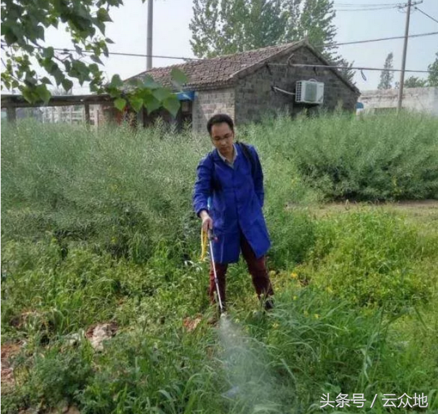 喷头的种类有哪些，十种喷头的名称（田间施药喷头经常用）