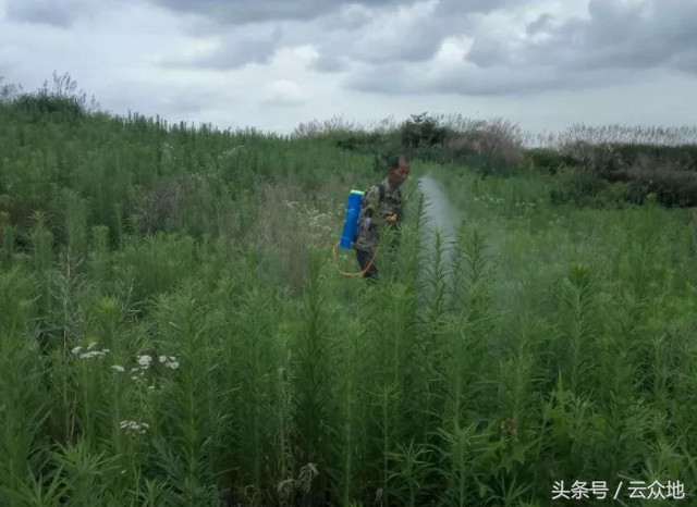 喷头的种类有哪些，十种喷头的名称（田间施药喷头经常用）